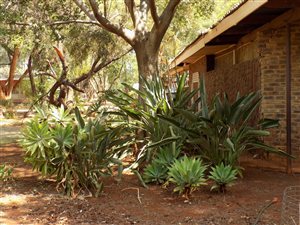 4 ha Farm in Rustenburg