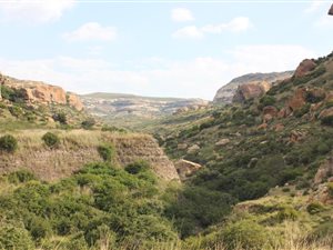 887 ha Farm in Ficksburg