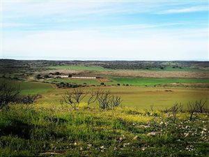 988 ha Farm in Stilbaai