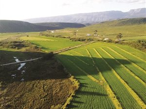 1119.3 ha Land available in Ladismith