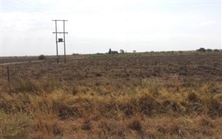 Farm in Boshof
