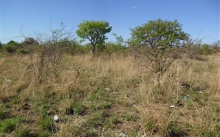 261 m² Land available in Lethlabile