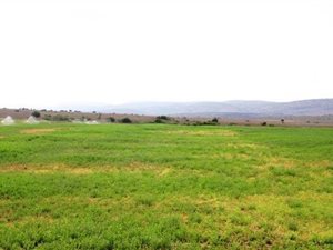 577 ha Farm in Somerset East