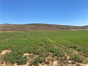 19.1 ha Farm in Touws Rivier