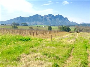 729 m² Land available in Nooitgedacht Estate