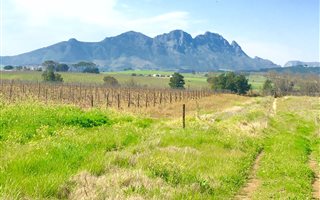 729 m² Land available in Nooitgedacht Estate