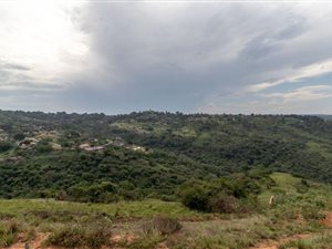 4507 m² Land available in Wyebank