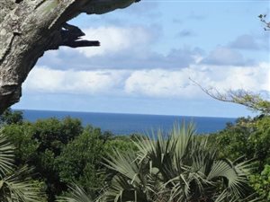 1408 m² Land available in Trafalgar