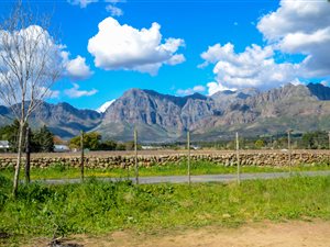 8 ha Farm in Northern Paarl