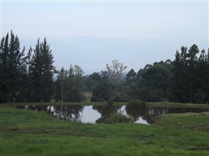 7.5 ha Farm in Sabie