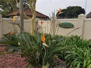 2 Bedroom Townhouse in Assagay