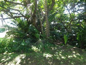 1358 m² Land available in Munster