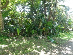 1358 m² Land available in Munster