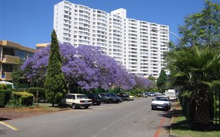 1.5 Bedroom Apartment in Bedford Gardens
