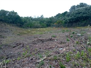 850 m² Land available in Seafield