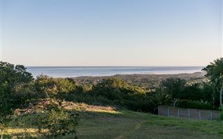 991 m² Land available in Mount Pleasant
