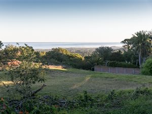 991 m² Land available in Mount Pleasant