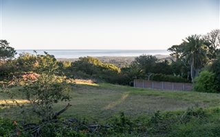 991 m² Land available in Mount Pleasant