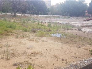3123 m² Land available in Nimrod Park
