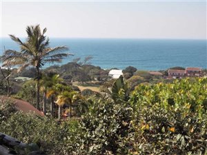 3 Bed House in Zinkwazi Beach