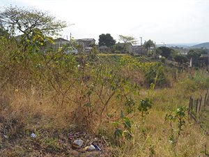 1054 m² Land available in Dawncrest