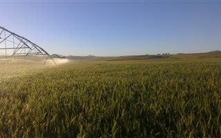 422 ha Farm in Koringberg