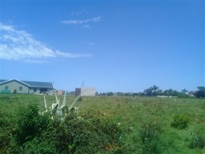 1263 m² Land available in Pacaltsdorp