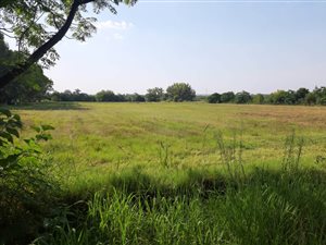 16.7 ha Farm in Honingnestkrans