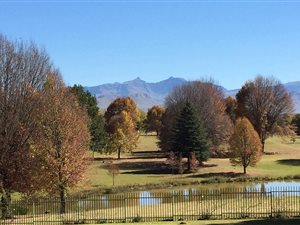 2 ha Farm in Underberg