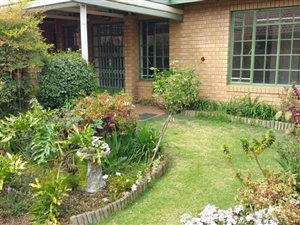 1 Bedroom Simplex in Newlands