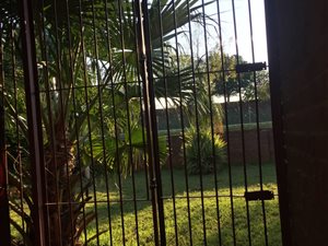 3 Bed Simplex in Vryheid