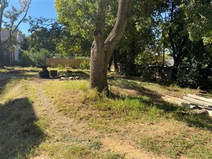 4 Bed House in Rembrandt Park