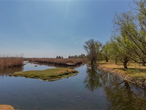 3.9 ha Farm in Bakerton