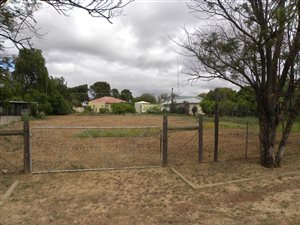 1204 m² Land available in Port Elizabeth Central
