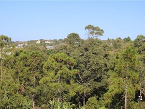 1000 m² Land available in Ramsgate