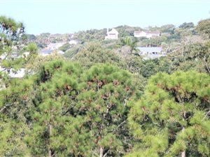 1000 m² Land available in Ramsgate