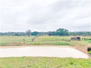 5.3 ha Smallholding in Port Elizabeth Central