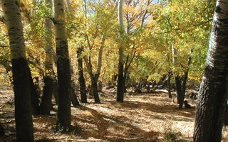 2449 ha Farm in Sutherland
