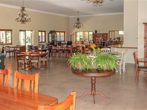 9 Bed House in Peacevale