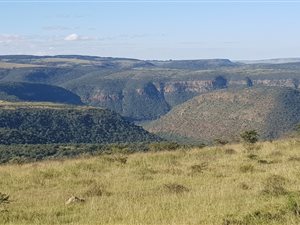 570 ha Farm in Komga