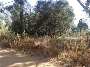 4047 m² Land available in Henley on Klip
