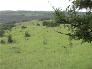 281 ha Land available in Kei Road