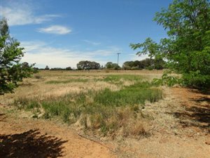 5 ha Land available in Bainsvlei