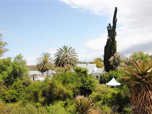 6404 ha Farm in Steytlerville