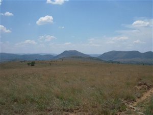 21.5 ha Land available in Hennops River