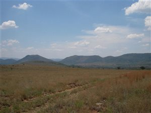 21.5 ha Land available in Hennops River