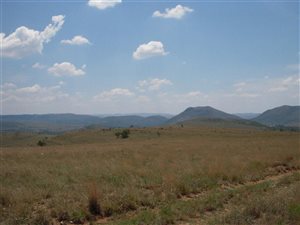 21.5 ha Land available in Hennops River