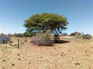 1644 ha Farm in Kuruman