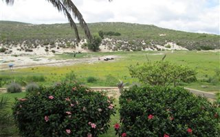 31 ha Farm in Redelinghuys