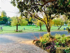 1 Bed Garden Cottage in Bordeaux